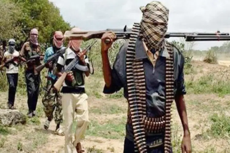 Seven Killed as Bandits Ambush Katsina Community, Clash with Watch Corps