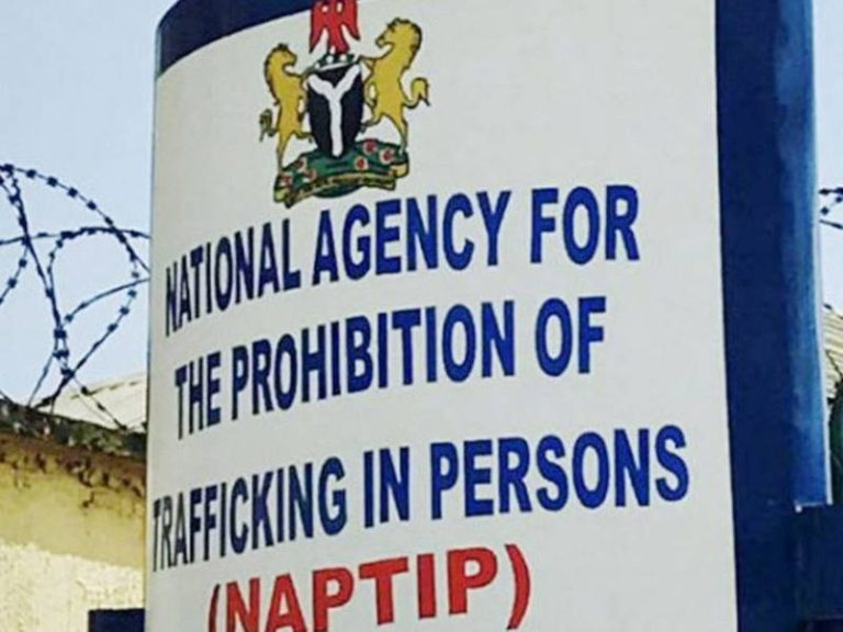 NAPTIP Exposis child trafficking ring, rescues 8 stolen children