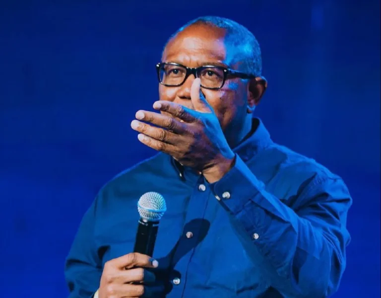 No One Can Capture the South-East Through Defections — Peter Obi
