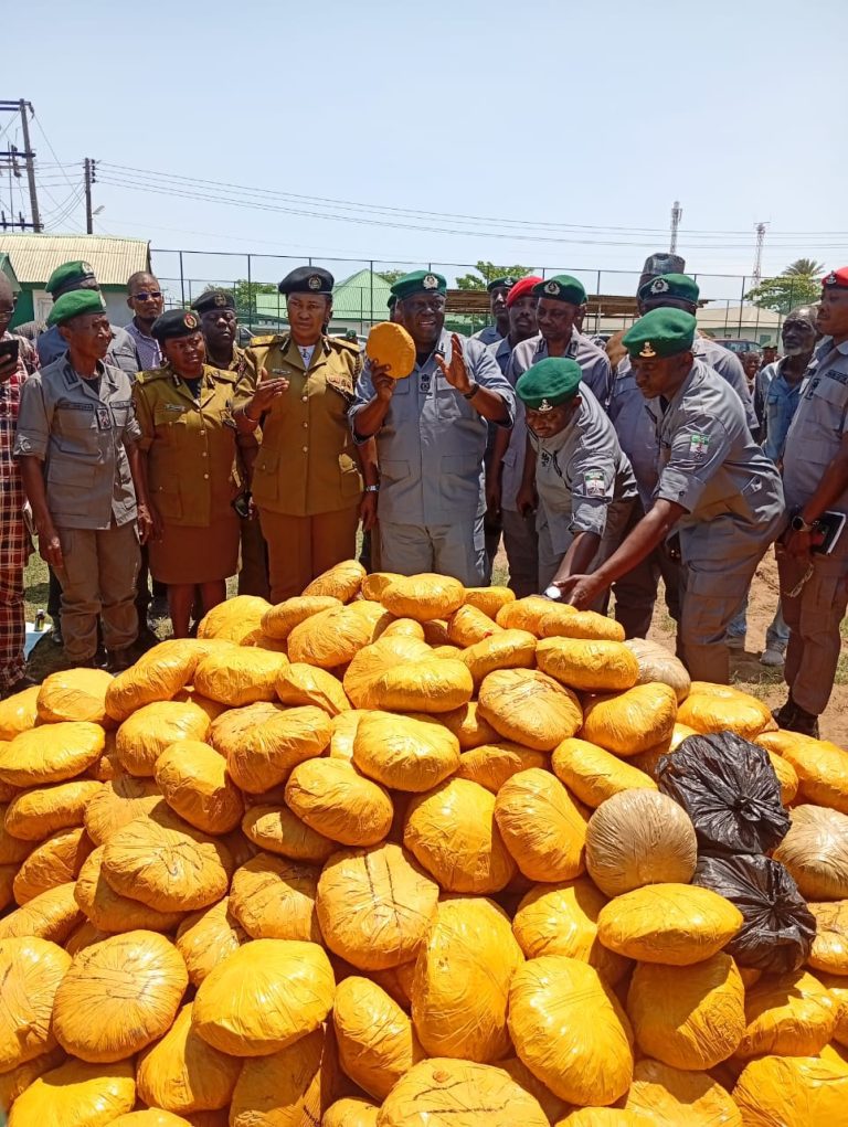 Customs Intercepts ₦1.2bn Expired Flour at Seme Border, Records 182% Revenue Surge