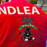 NDLEA Arrests 1,018 Suspects, Seizes 2.4 Tonnes of Illicit Drugs in Katsina