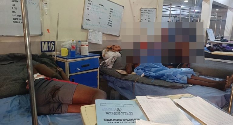 Jilli Airstrikes: Borno Hospital Raises Alarm Over Acute Blood Shortage