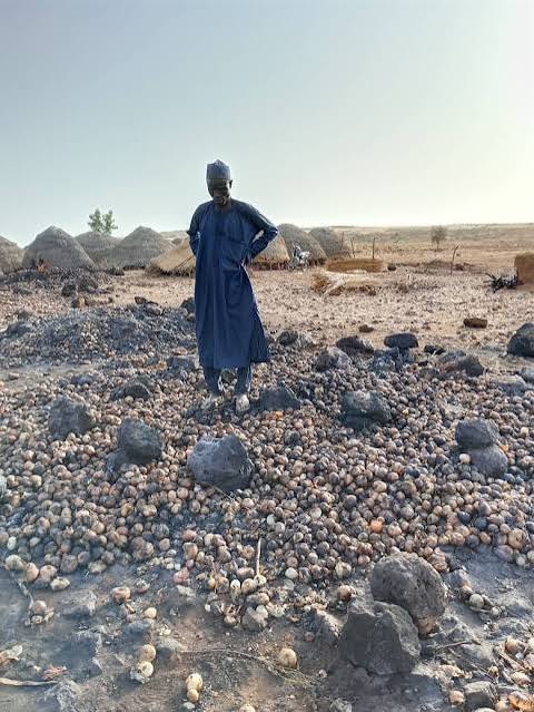 Massive Fire Outbreak Devastates Onion Farmers in Sokoto, Over ₦56m Produce Destroyed