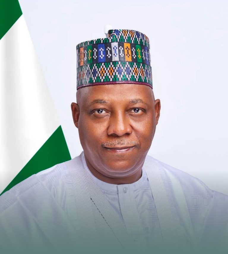 Shettima to launch Nigeria’s first varsity innovation pods at UNILAG— FG, UNDP target AI-driven innovation, digital talent development in universities