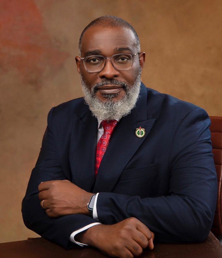 Tinubu Appoints Retired Army General Famadewa as First Homeland Security Adviser