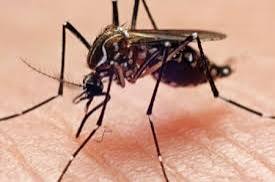 Enugu Slashes Malaria Prevalence to 9.9%, Offers Free Treatment, Insures Pregnant Women