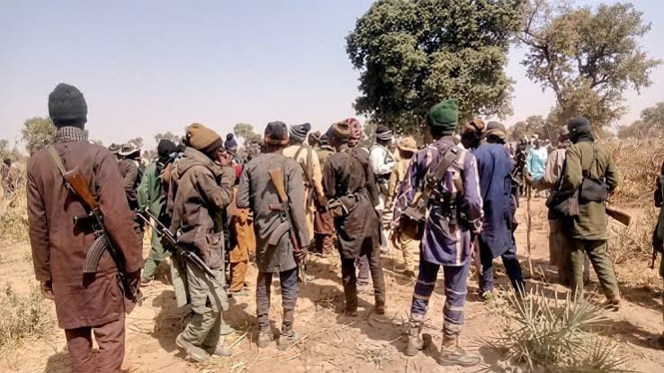 Mangu Attacks: Death Toll Rises to 28 as Mwaghavul Group Demands Sustained Military Operations