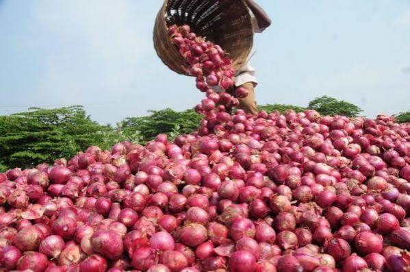 Ghana Onion Crisis: NOPPMAN Seeks ECOWAS Intervention Over Truck Restrictions